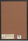 Synedra atlandica Castr. (de-Toni-Nr.: Genus 66, Species 2623) Zeichnungen Sammlung Grunow Mappe 02836 (Herbarium_W_Grunow_drawings_Folder_02836)
